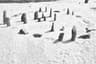 ناپتاپلایا-مصر-نوسنگی